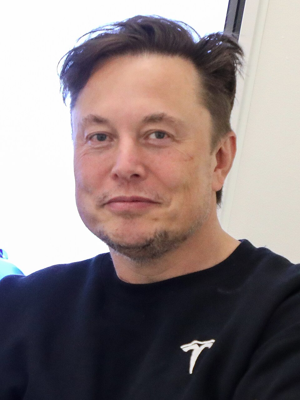 Stylized portrait 4 — Starship rising